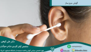 گوش جرم ساز