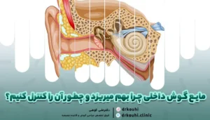مایع گوش داخلی