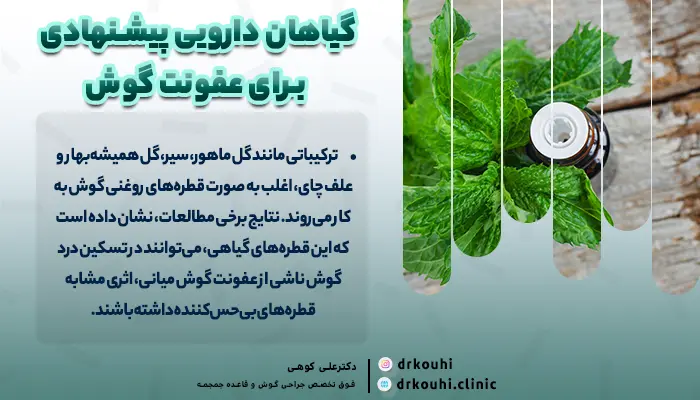 گیاهان دارویی برای عفونت گوش