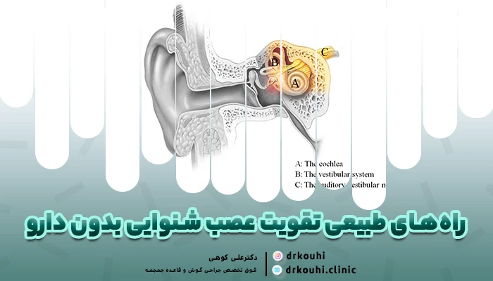 راه‌های طبیعی تقویت عصب شنوایی بدون دارو