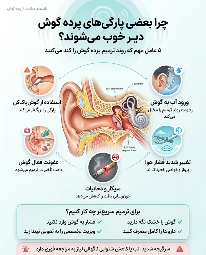 اینفوگرافیک چرا بعضی پارگی های پرده گوش دیر به دیر خوب میشوند؟