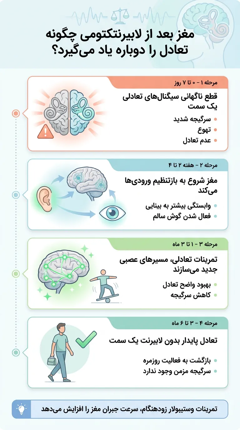 اینفوگرافیک مغز چگونه بعد از لابیرنتکتومی تعادل را یاد میگیرد؟