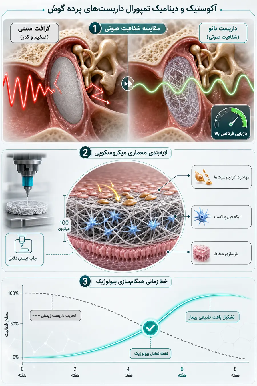 اینفوگرافیک آکوستیک و داینامیک تمپورال داربست های پرده گوش