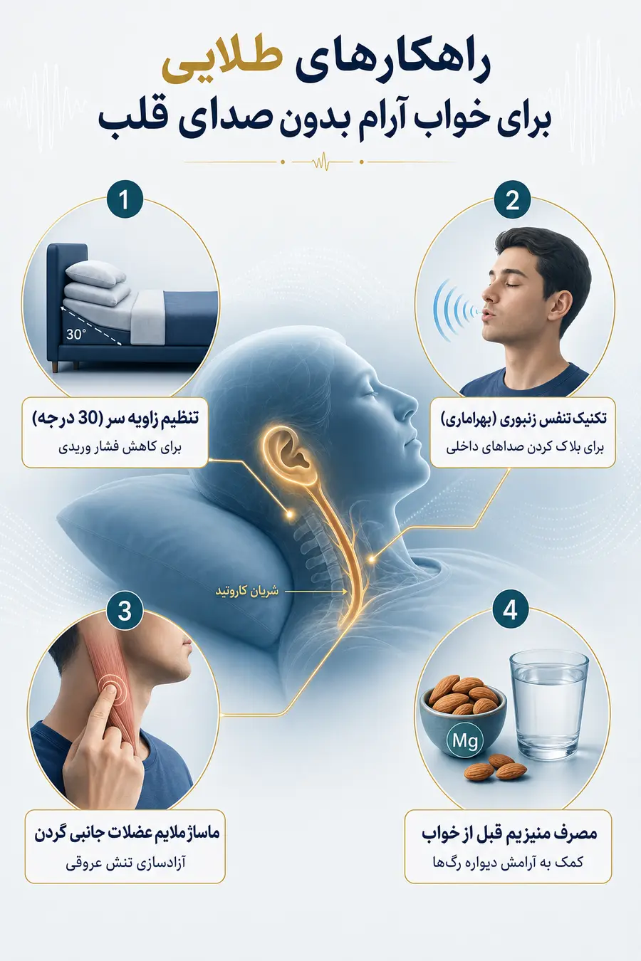 اینفوگرافیک علت شنیدن صدای قلب در گوش موقع خواب