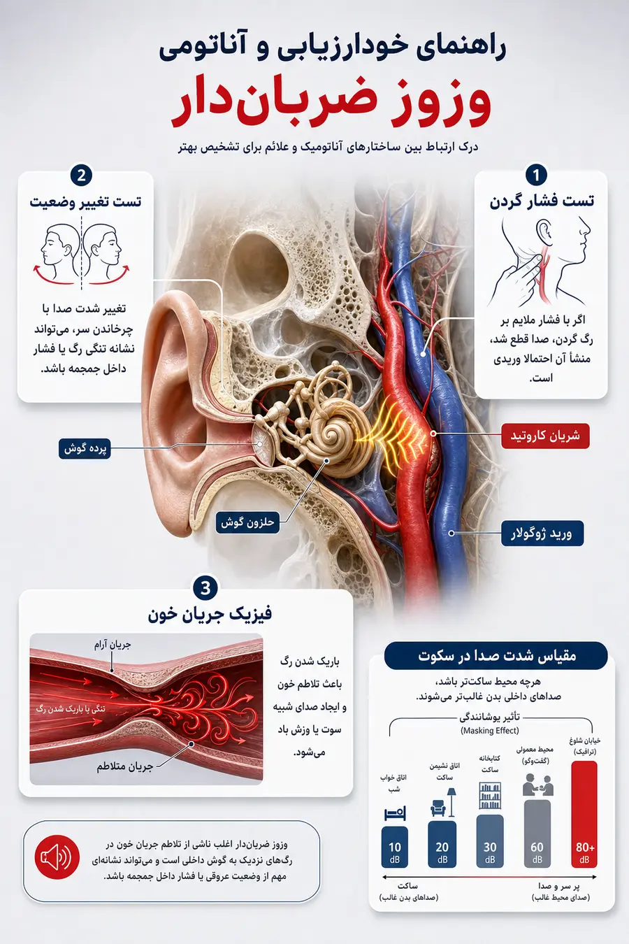 اینفوگرافیک صدای ضربان قلب در گوش چپ و راست
